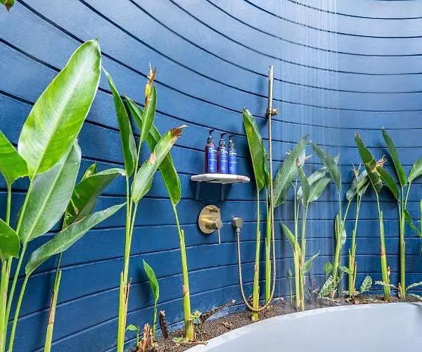 ホテル Ulu Cliffhouse Boutique Hotel And Pool Club - Adults Only ウルワツ